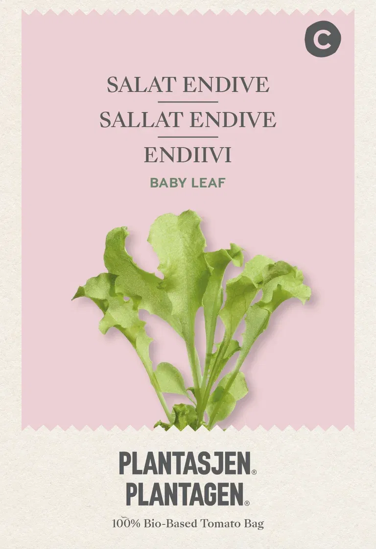 Babyleaf Salat Endive White curled