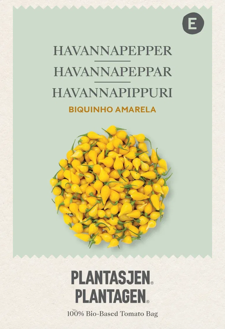 Havannapepper Biquinho Amarela