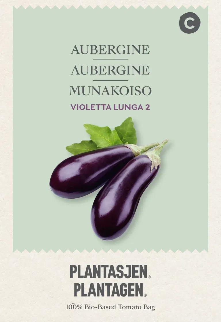 Aubergine 'Violetta Lunga 2'