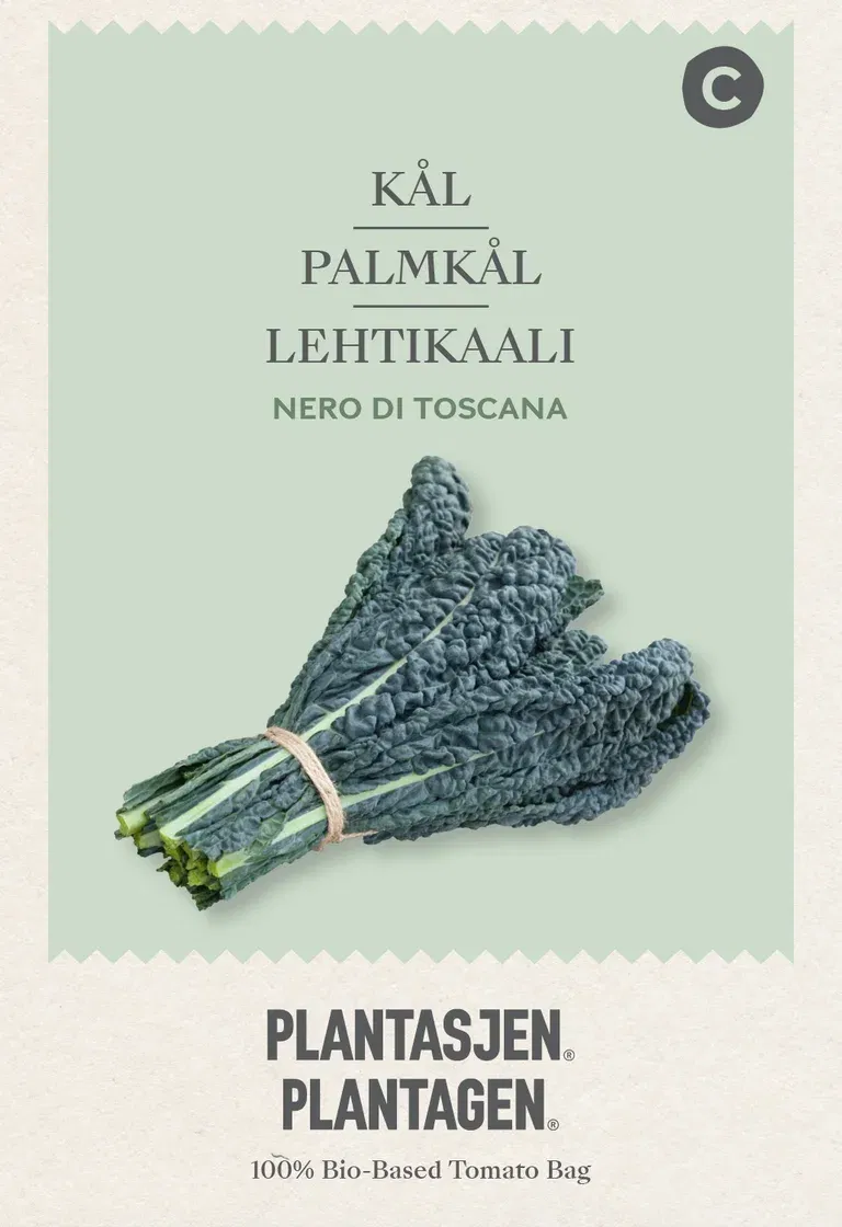 Palmekål 'Nero di Toscana'