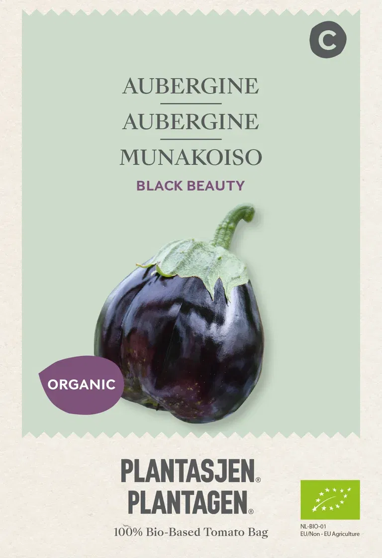 Aubergine 'Black Beauty'
