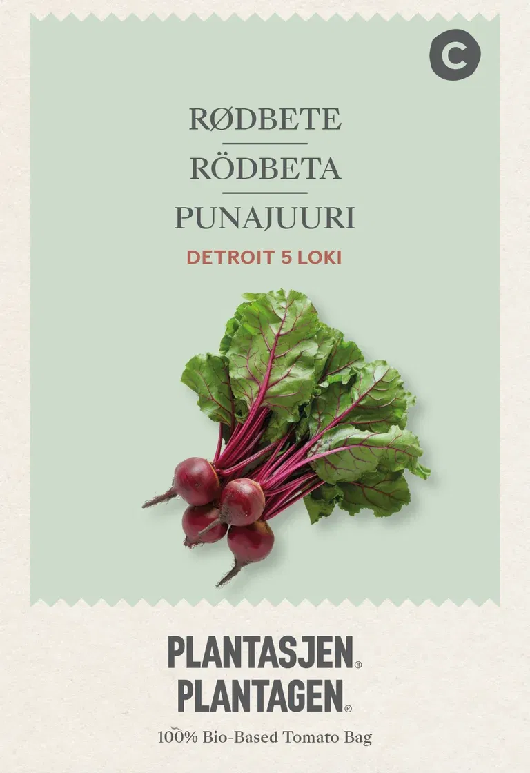 Rødbete 'Detroit 5 Loki'