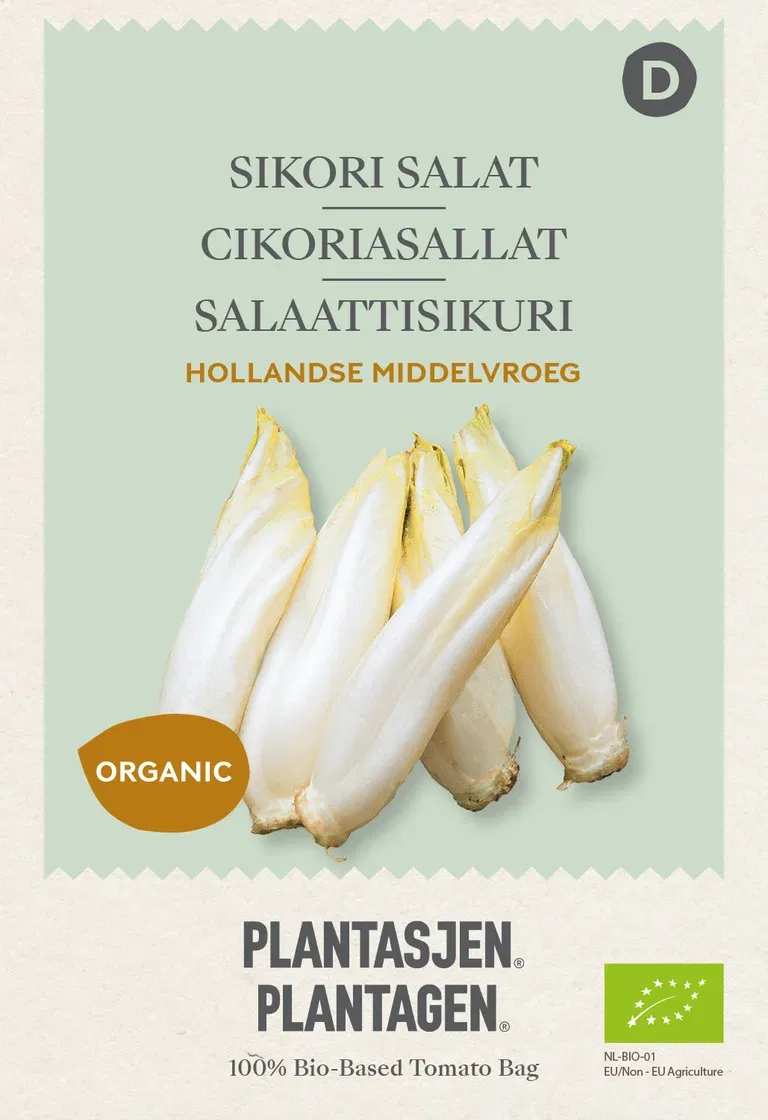 Sikorisalat  'Hollandse Middelvroeg' (Skal 014218) - Organic