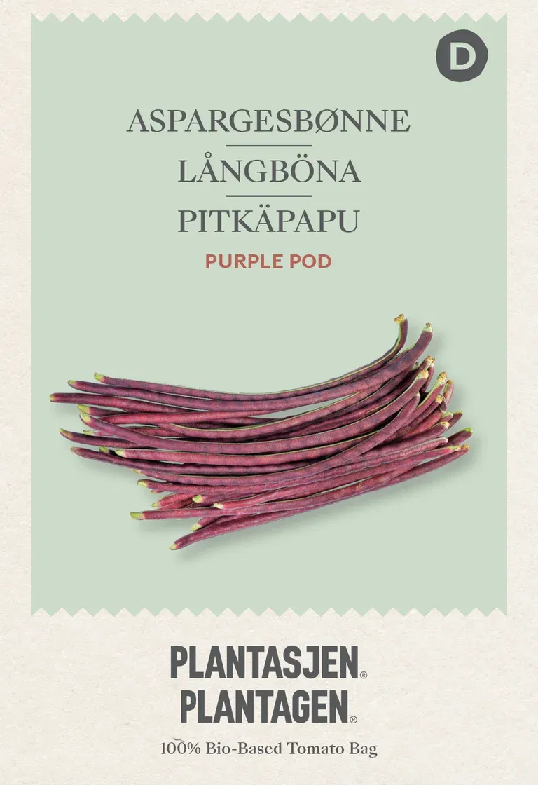 Aspargesbønne 'Purple Pod'