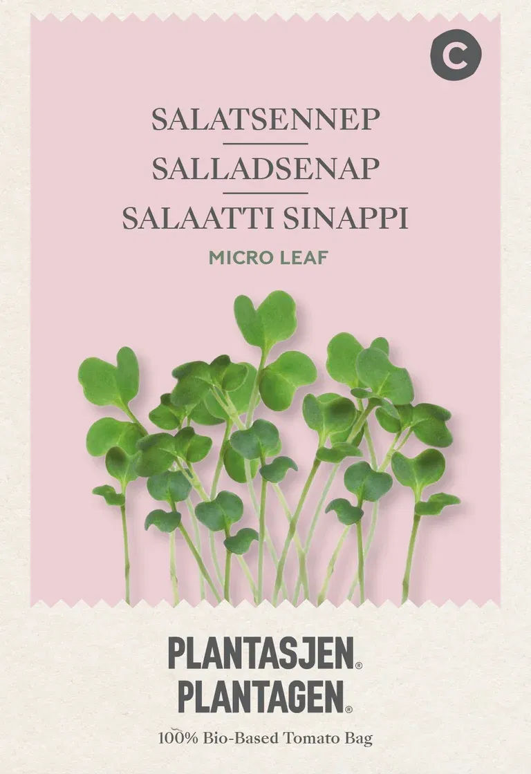 Salatsennep 'Mizuna' - Mikrogrønt