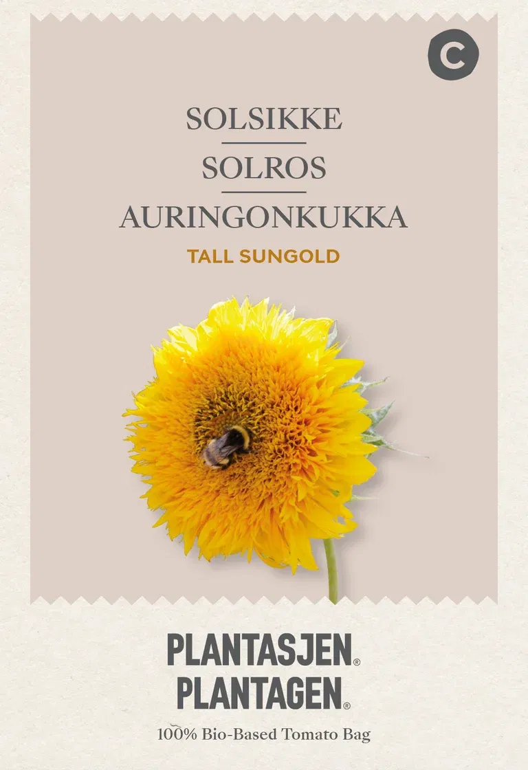 Solsikke Tall Sungold