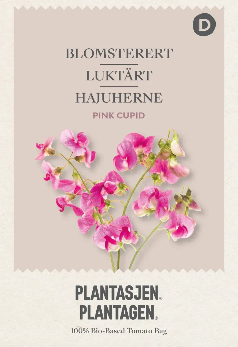 Blomsterert 'Pink Cupid'