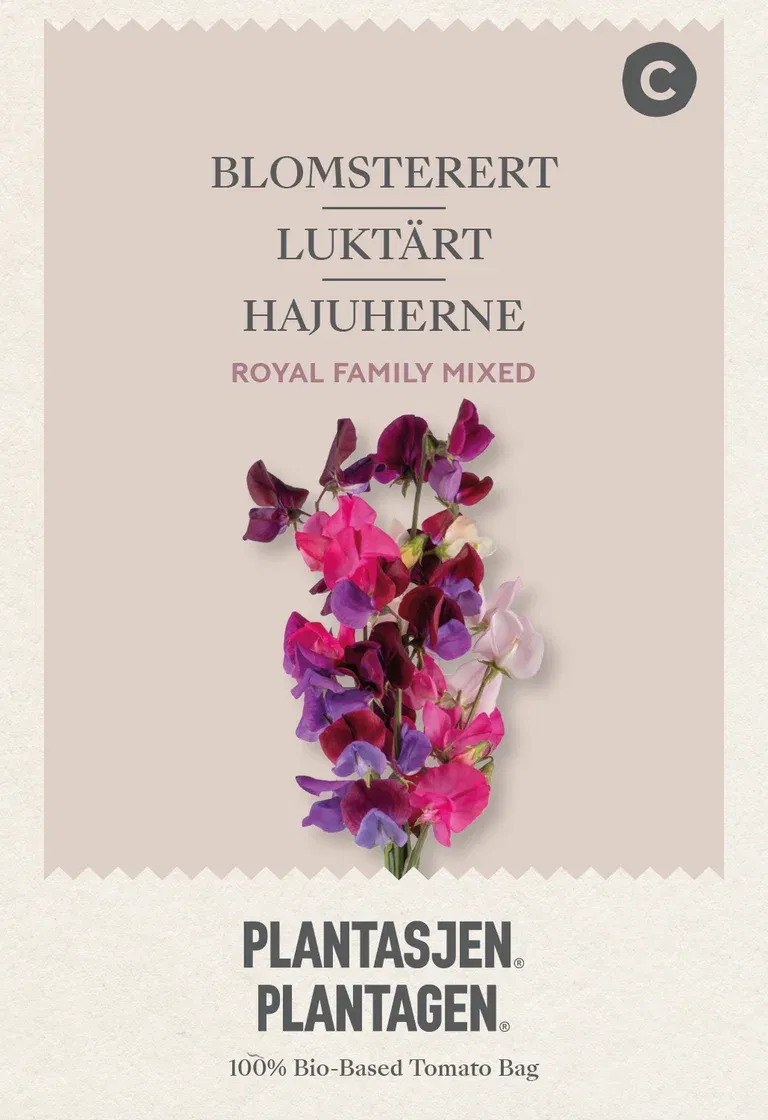 Blomsterert 'Royal Family' Mixed