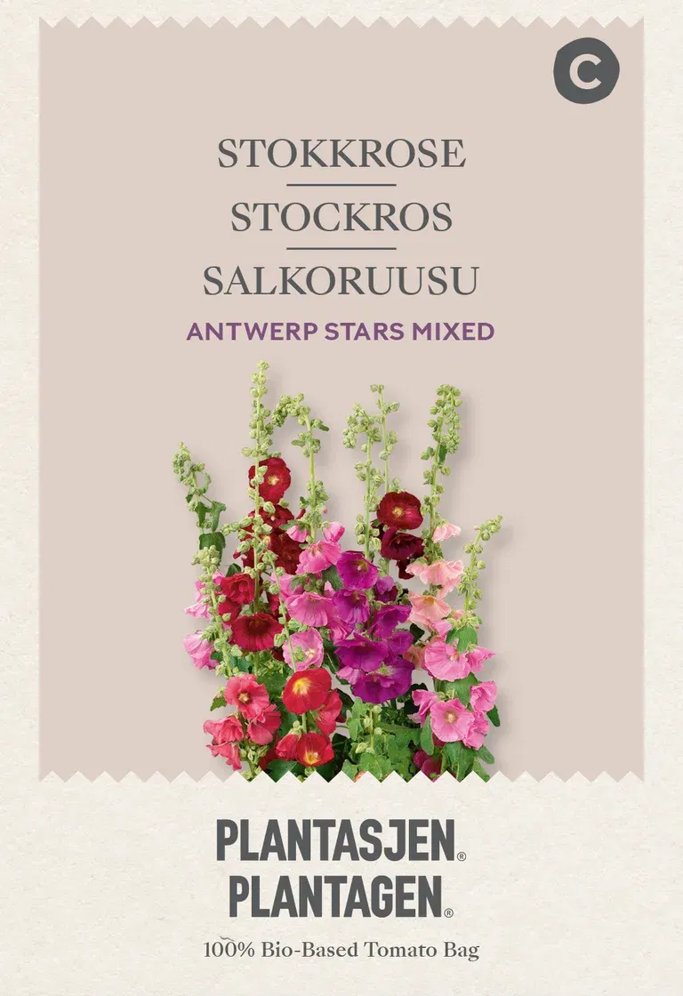 Stokkrose 'Antwerp Stars' Mixed