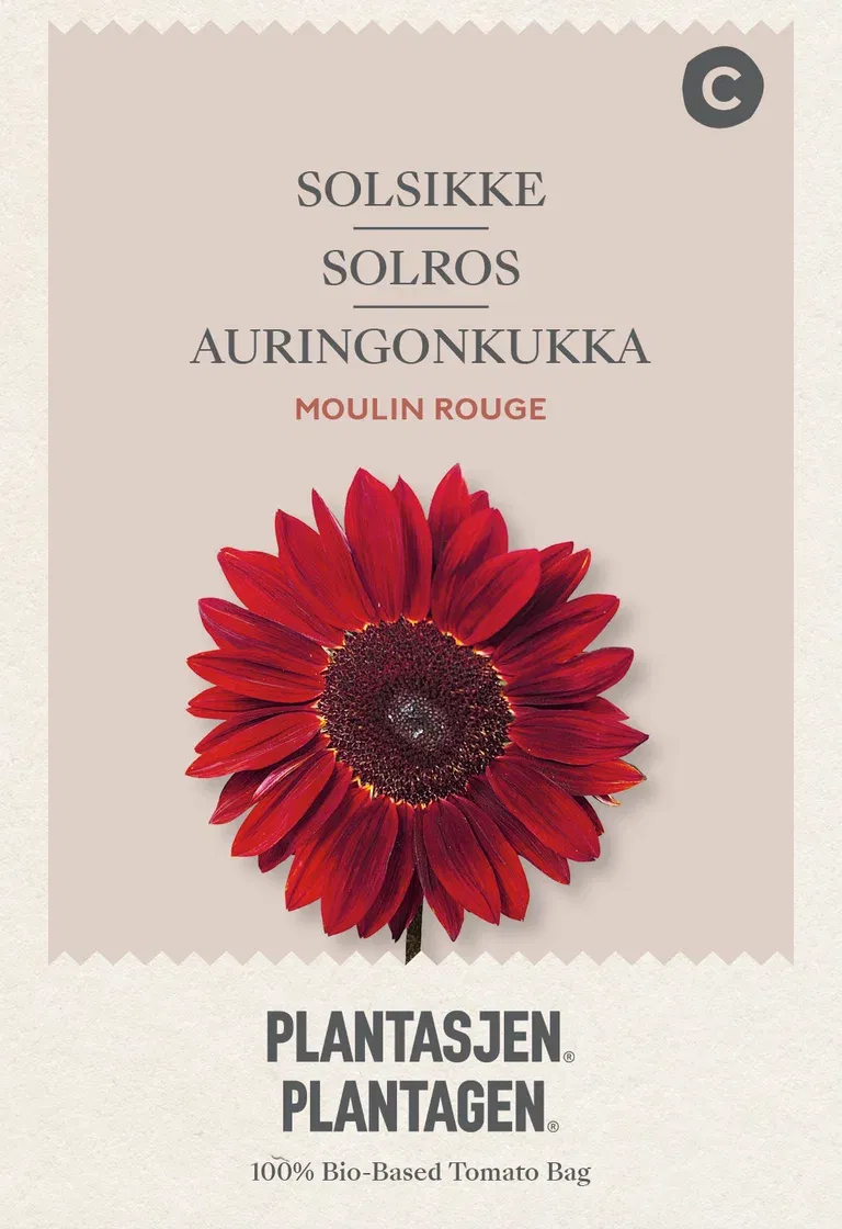Solsikke 'Moulin Rouge'