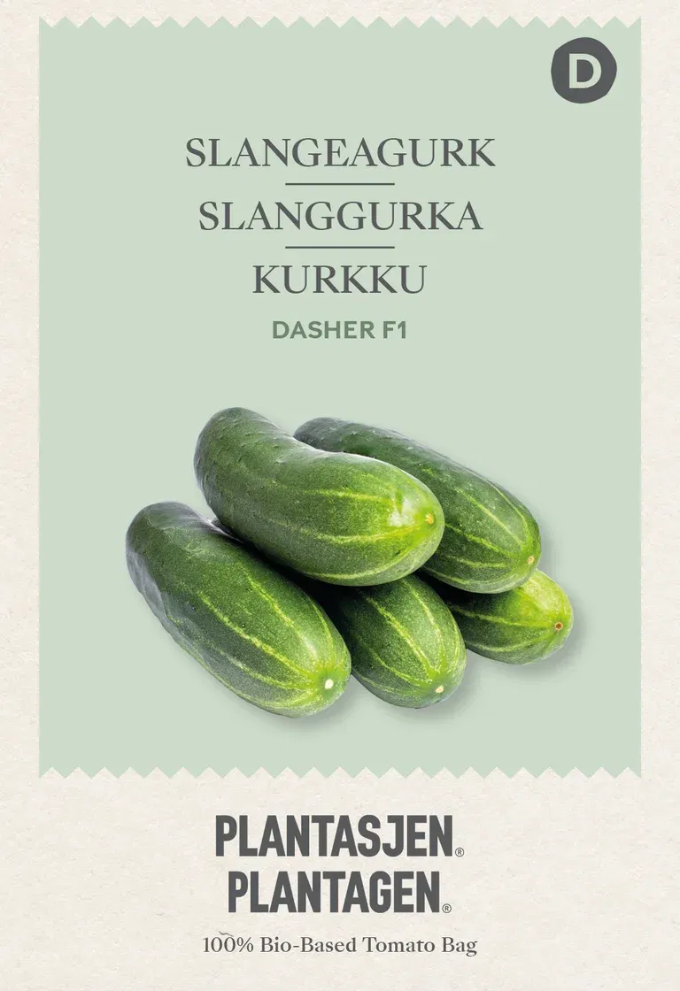 Slangeagurk Dasher F1