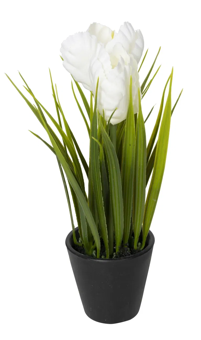 Tulipan i potte kunstig