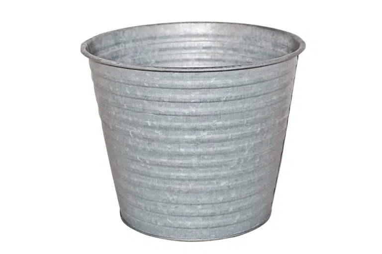 Potte Crewe