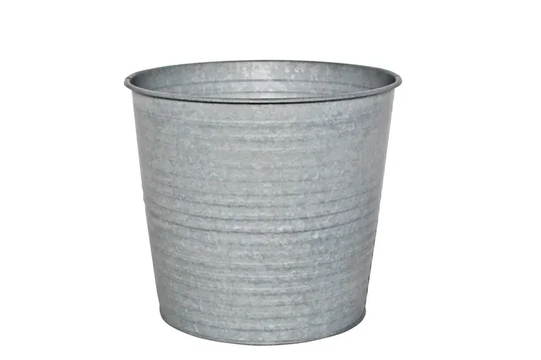 Potte Crewe