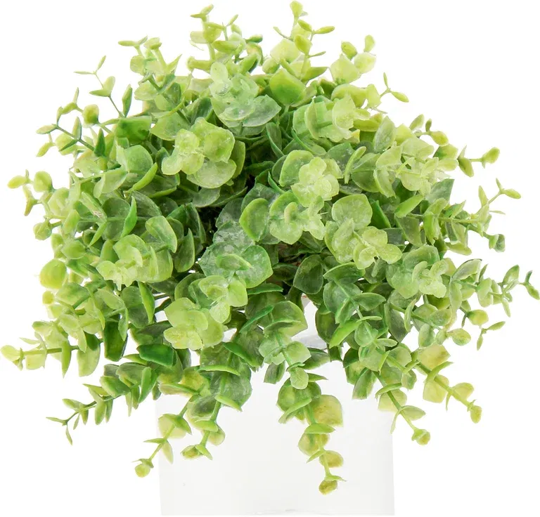 Eukalyptus kuleformet kunstig