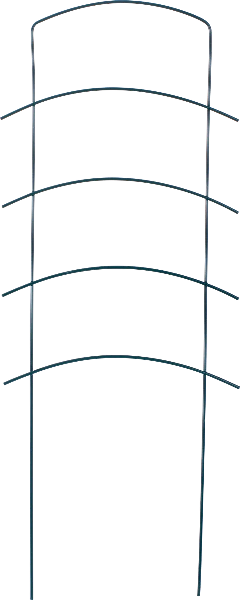 Espalier Ortus