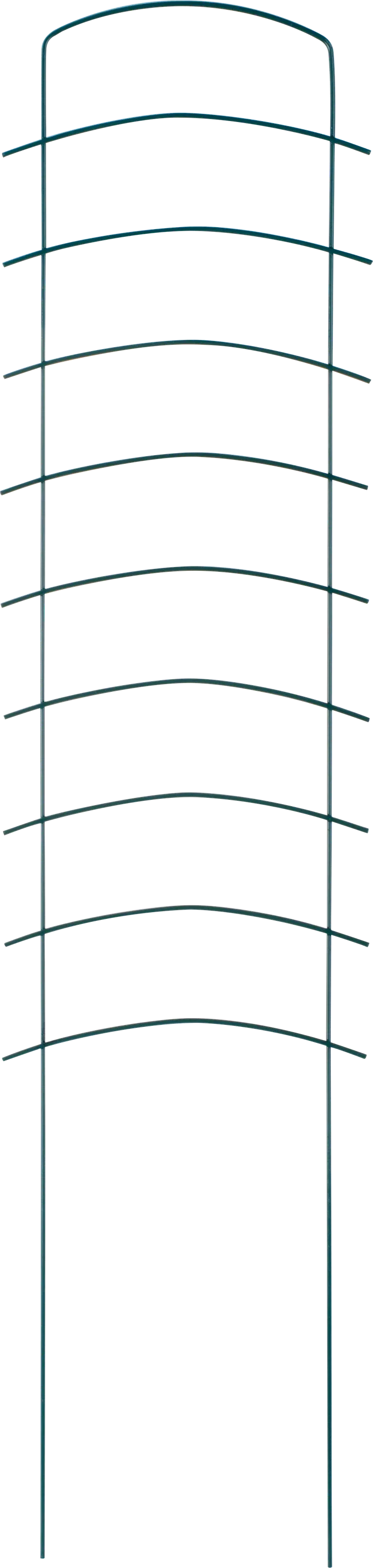 Espalier Ortus