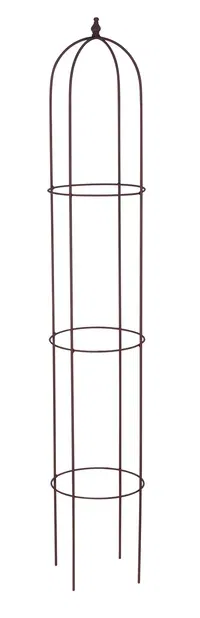 Espalier obelisk