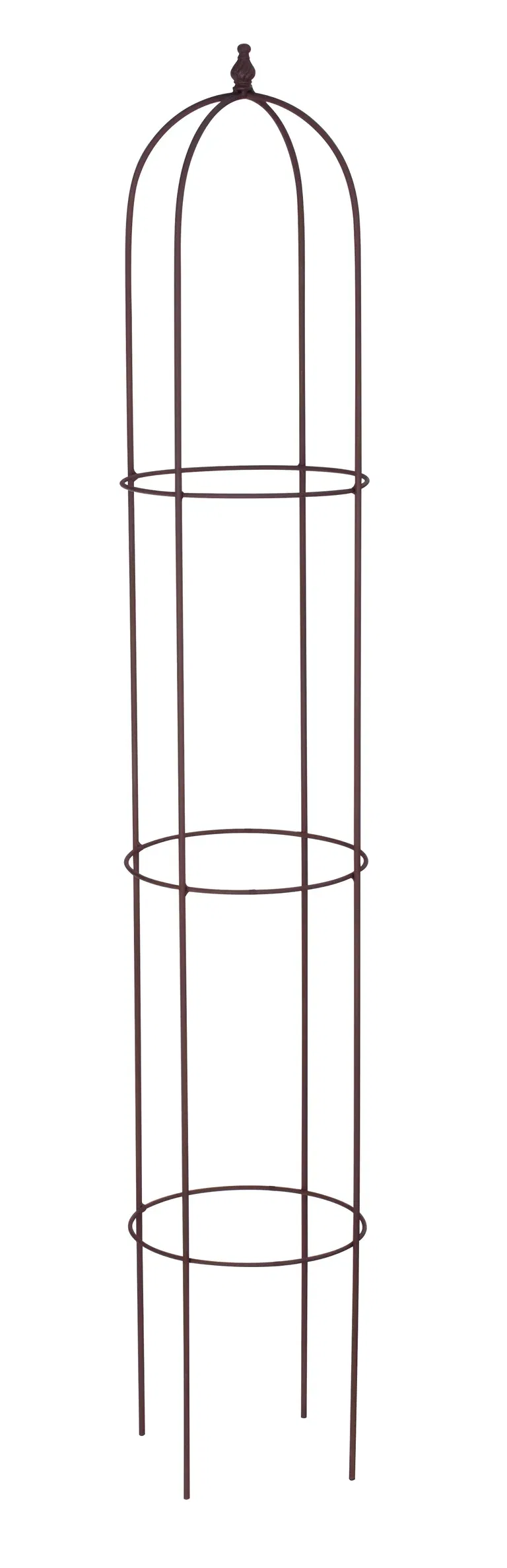 Espalier obelisk