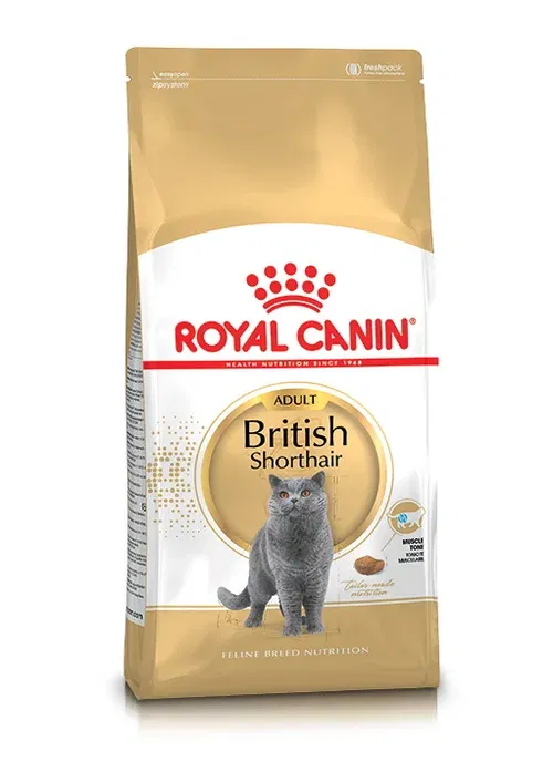 Royal Canin British shorthair Adult