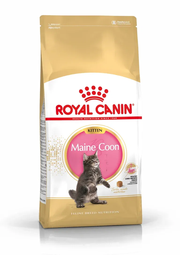Royal Canin Maine coon Kitten