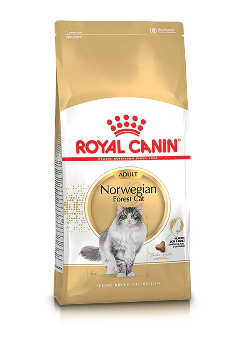 Royal Canin Norwegian forest Adult