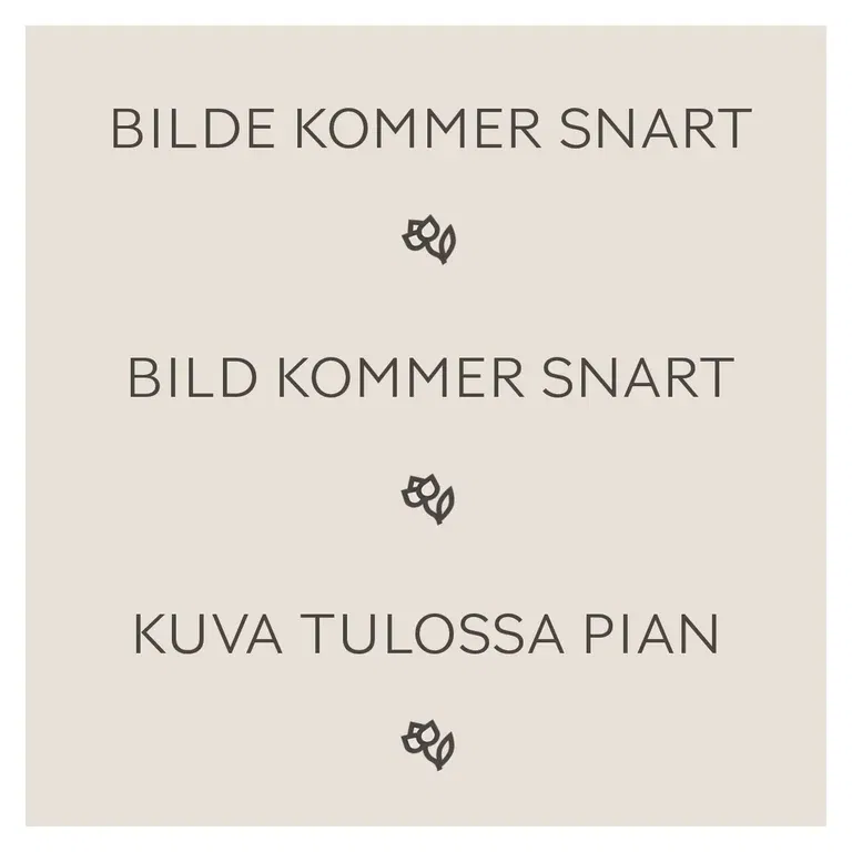 Løk 'Red Braunschweiger'