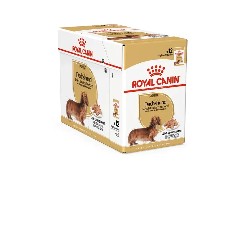 Royal Canin Dachshund Adult Paté