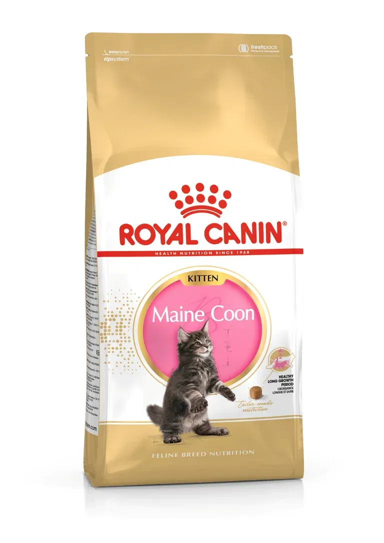 Royal Canin Maine Coon Kitten