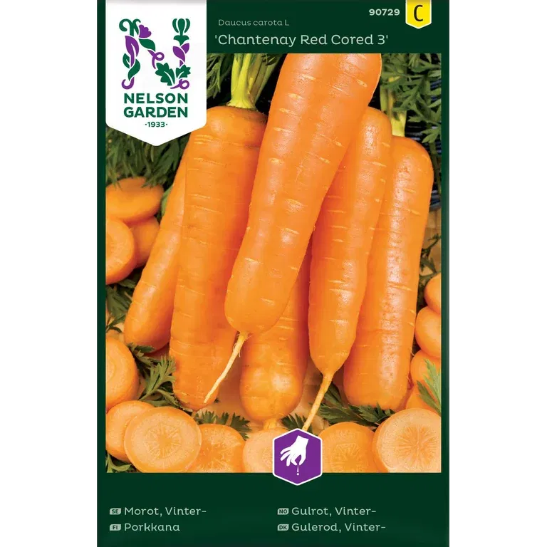 Vintergulrot 'Chantenay Red Cored 3'