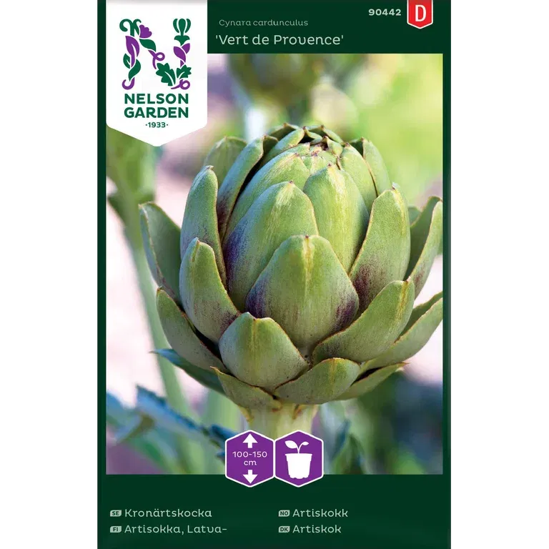 Artiskokk 'Vert de Provence'