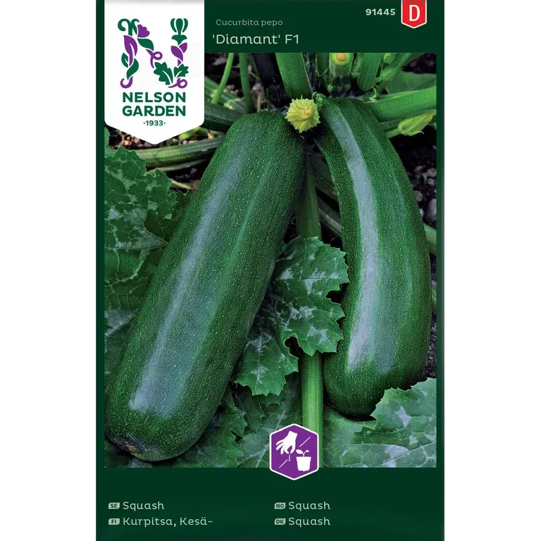 Squash 'Diamant'