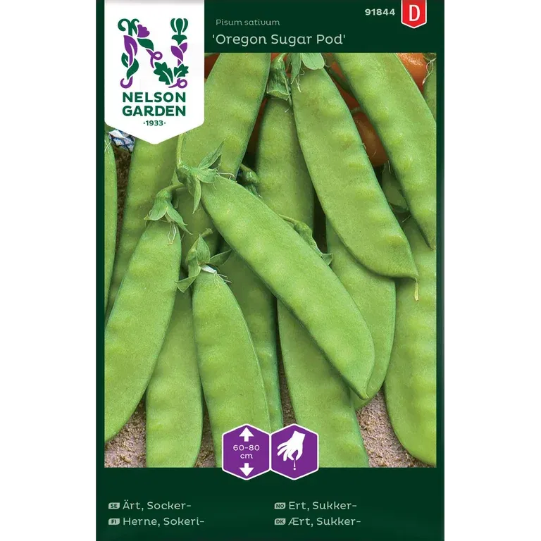 Sukkerert 'Oregon Sugar Pod'
