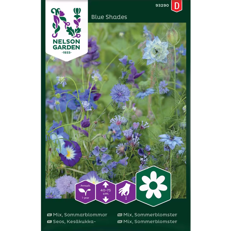Sommerblomster 'Blue Shades'