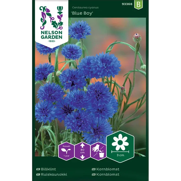 Kornblomst 'Blue Boy'