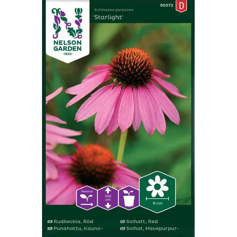 Solhatt, Rød 'Starlight'