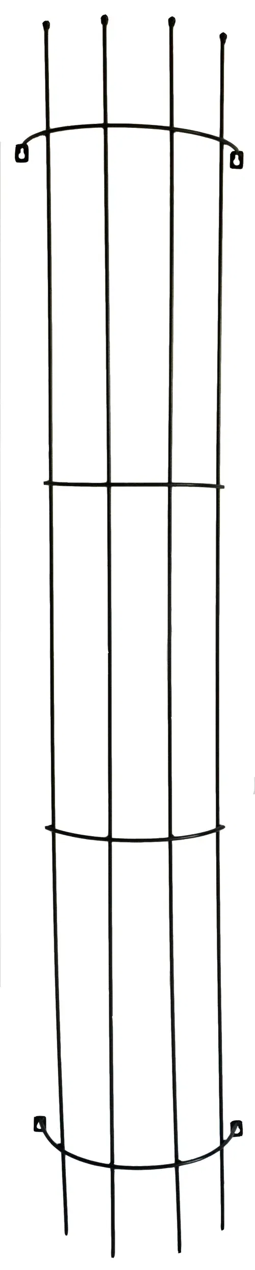 Espalier for vegg