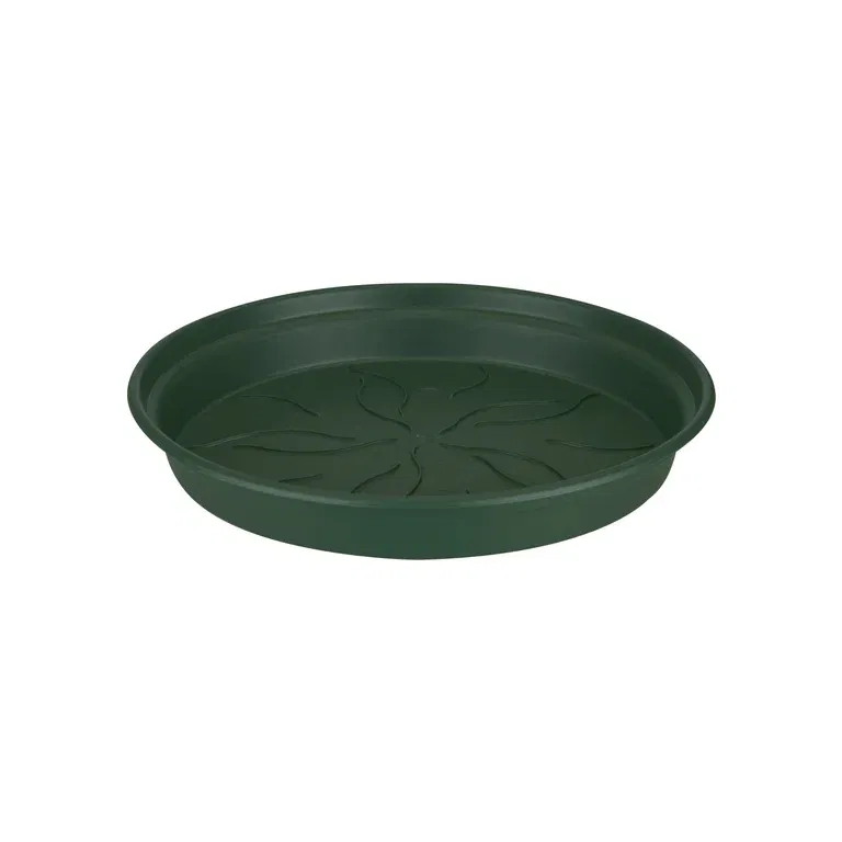 Sauser Green basics 