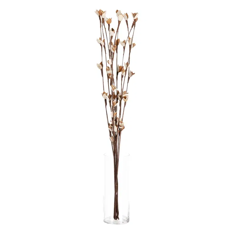 Papirblomst Lilje
