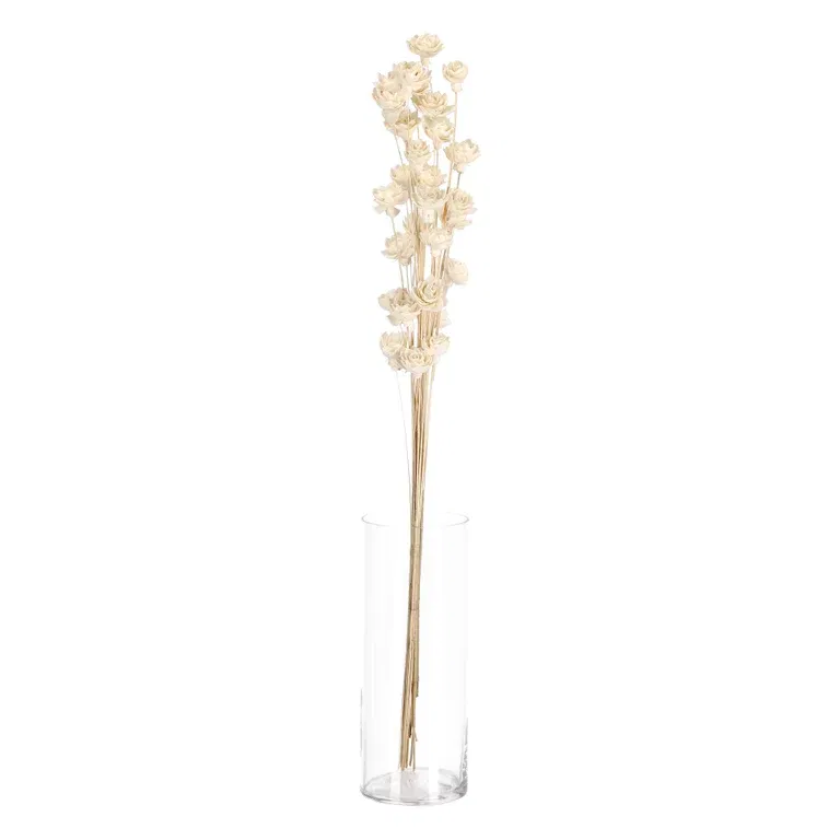 Papirblomst Vannlilje