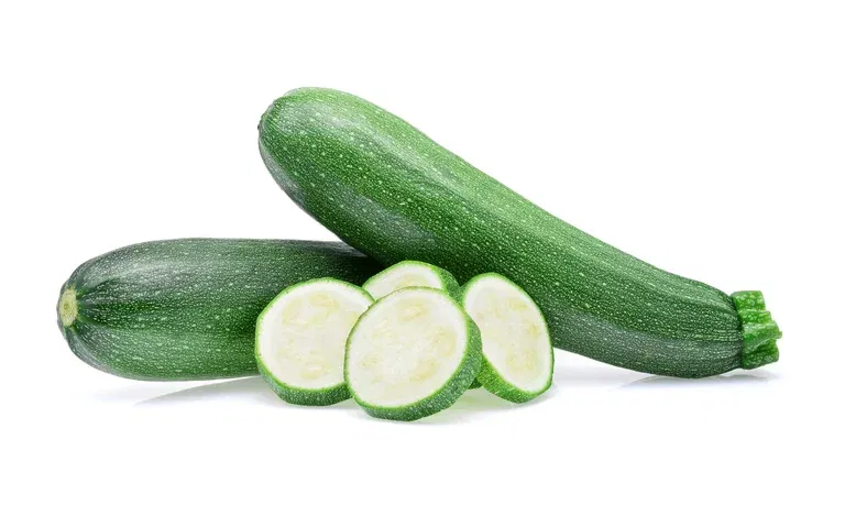 Sommersquash 'Ladoga'