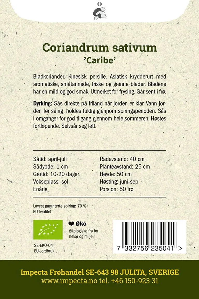 Koriander 'Caribe'