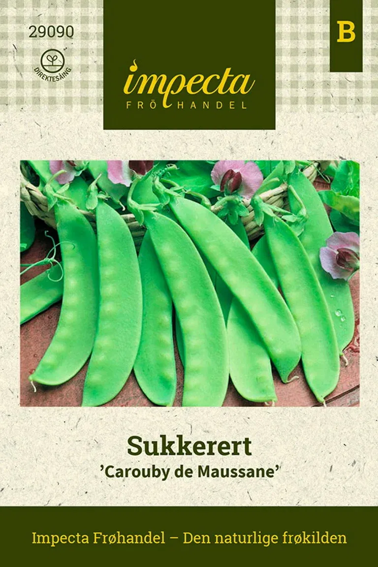 Sukkerert 'Carouby De Maussane'