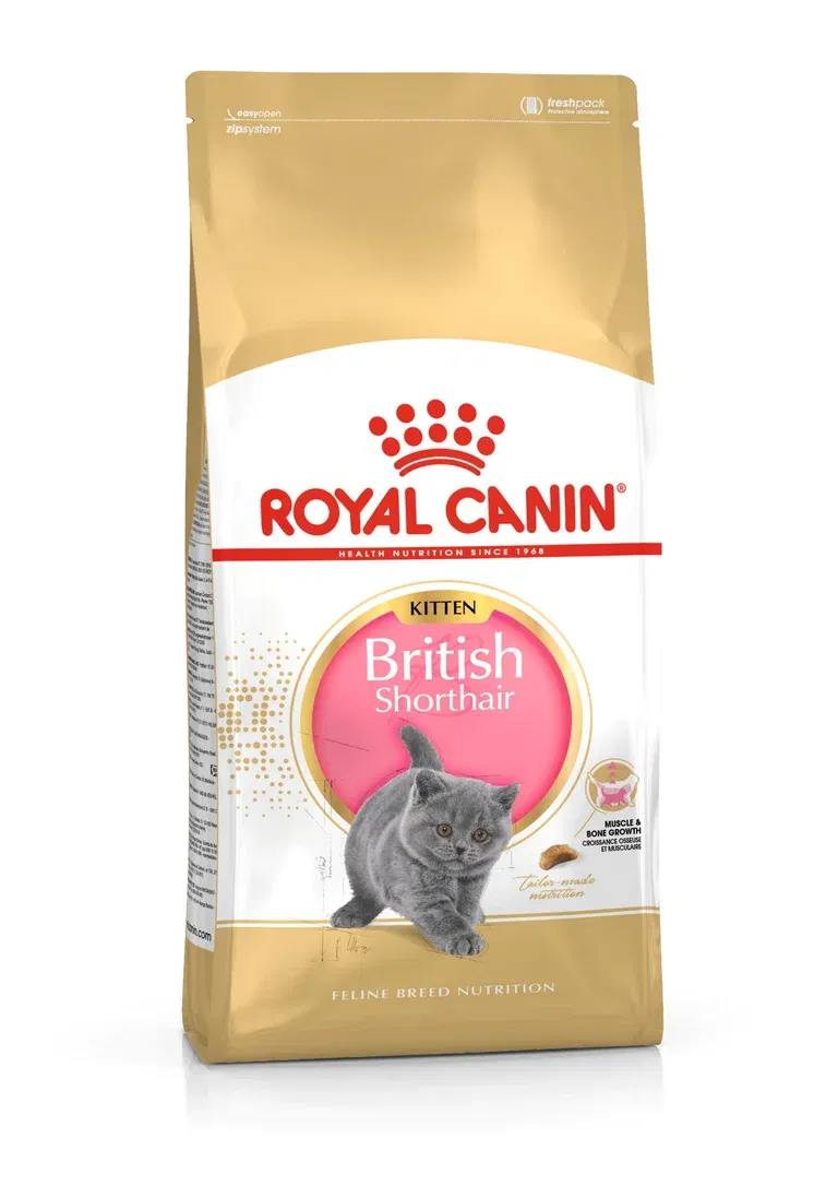 Royal Canin British Shorthair Kitten