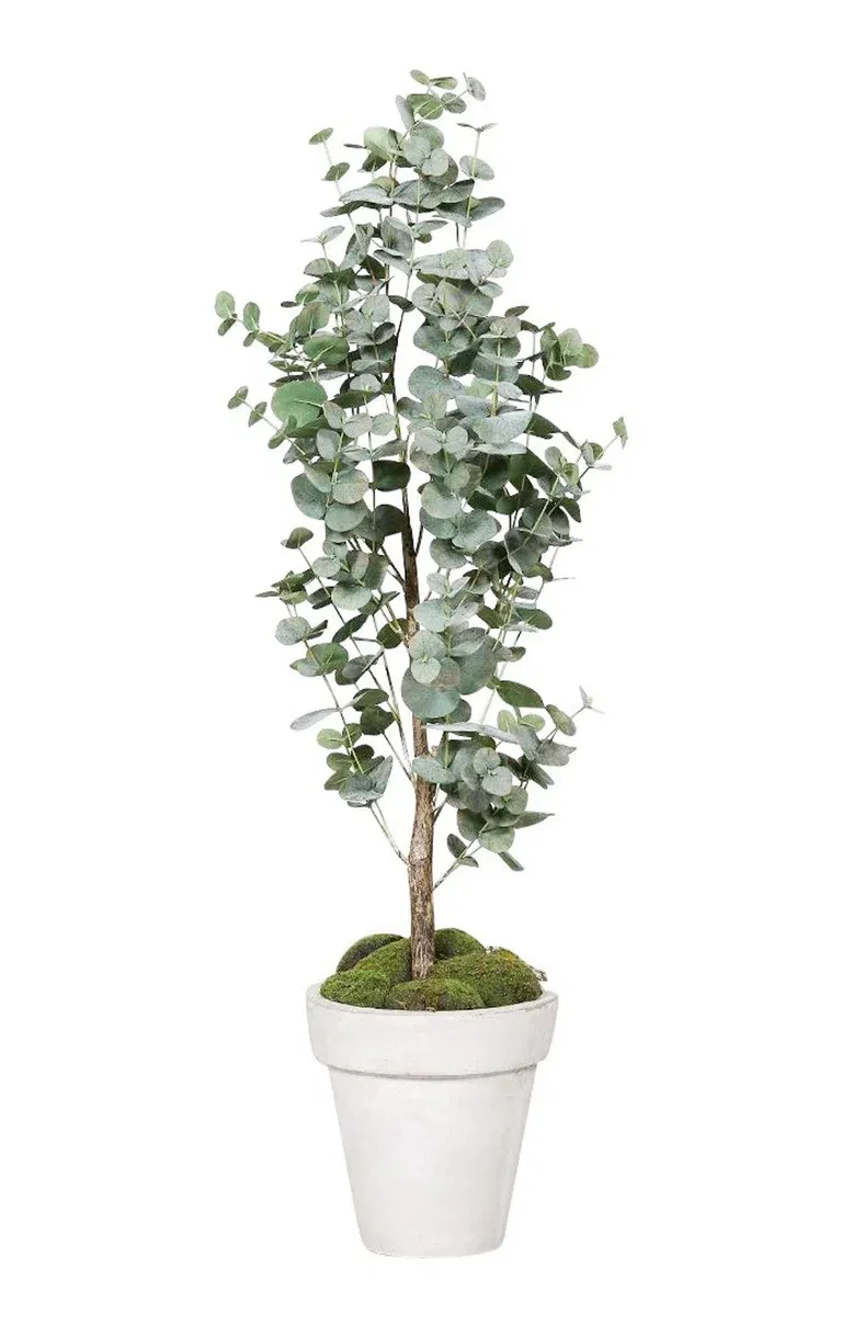 Eukalyptus kunstig