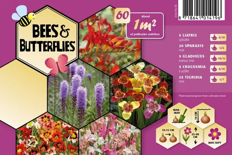 Blomsterknoller miks Bee & Butterfly Garden