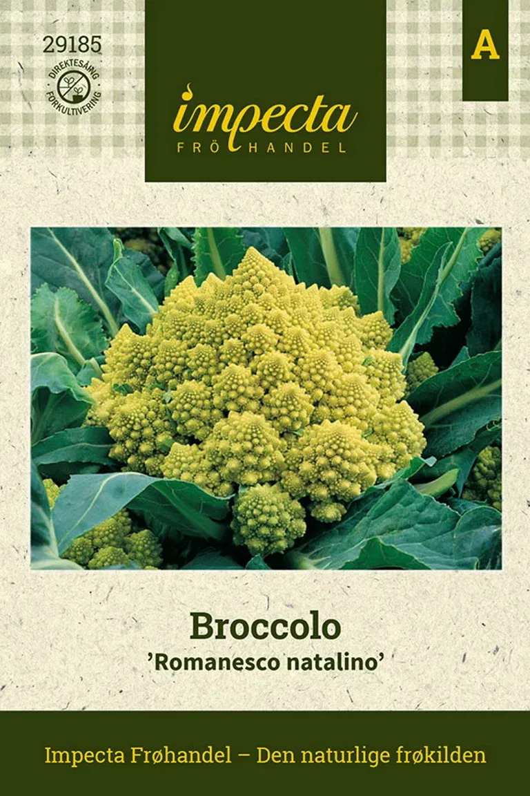 Broccolo 'Romanesco natalino'