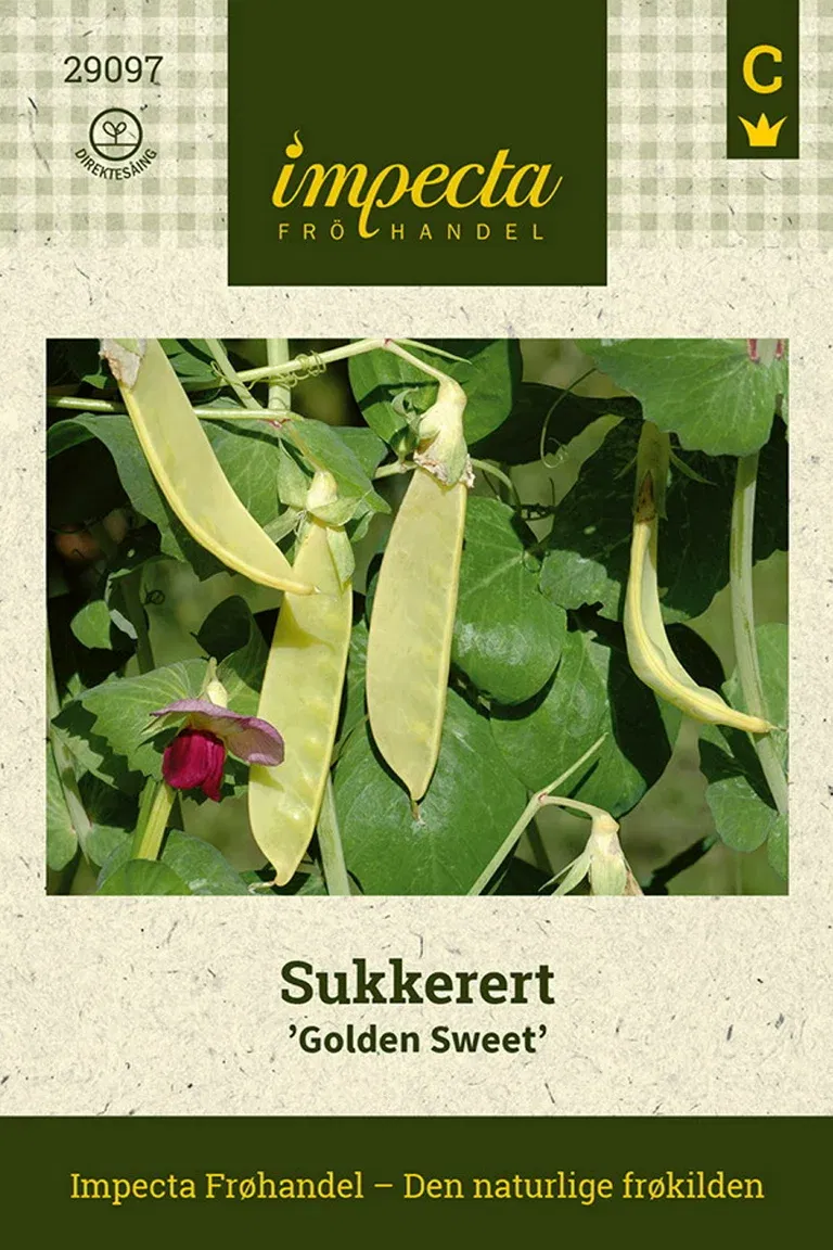 Sukkerert 'Golden Sweet'
