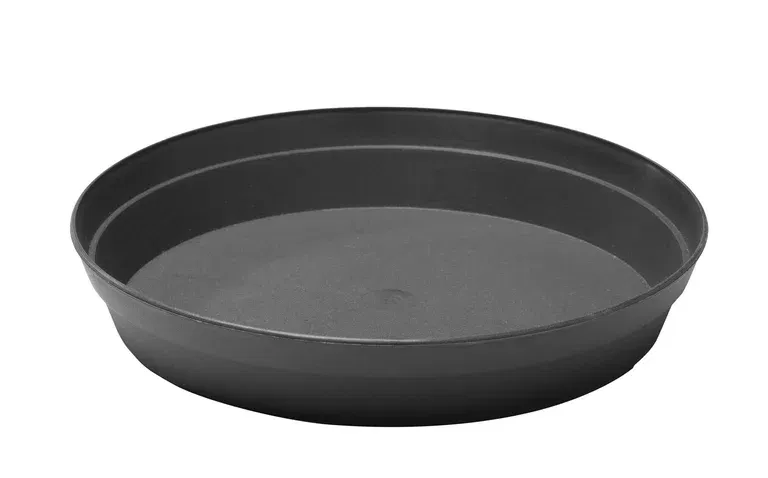 Plastic saucer for potato pot 2024