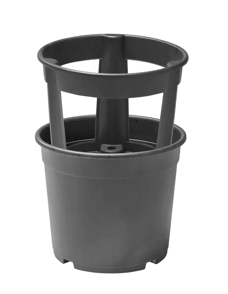 Potato Plant Pot 2024